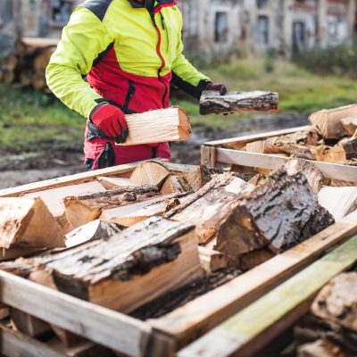 Man collects a pile of firewood on a heap. Coniferous and decidu