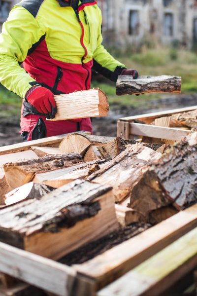 Man collects a pile of firewood on a heap. Coniferous and decidu