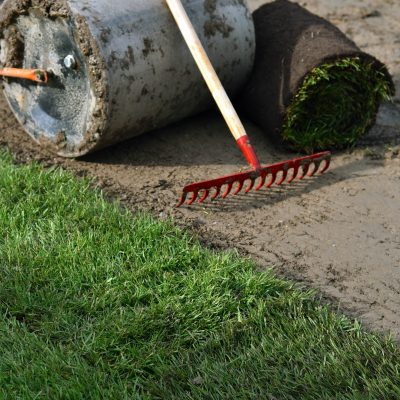 Rollrasen Verlegen - Turf laying