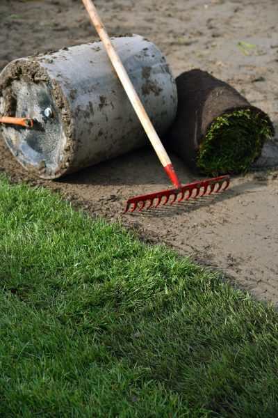 Rollrasen Verlegen - Turf laying